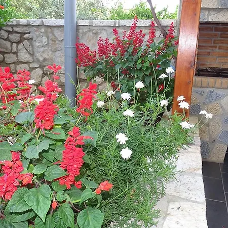 Vila Gesti בורש