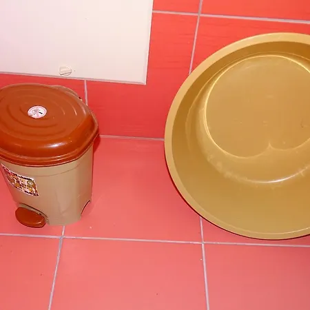 Vila Gesti Borsh