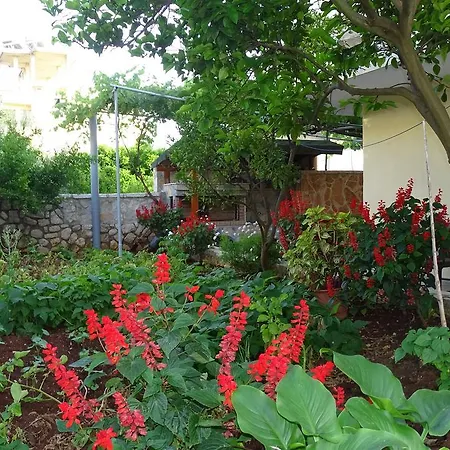 בית הארחה Vila Gesti בורש